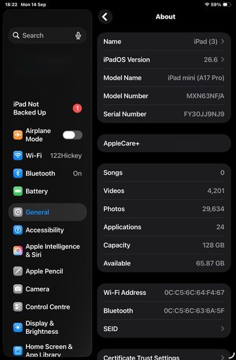 iPad Mini 7 (A17) Space Grey With Official 2 Cases