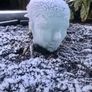 glass head Image 4