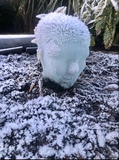 glass head
