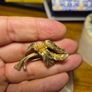 Rare Find. Vintage Gold Tone Brooch Image 6