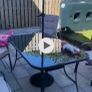 garden table, 6 chairs, cushions & umbrella Image 2