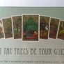 Spirit of Nature Oracle cards, Ogham , Celtic tree cards,Oracle cards Image 3
