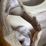Wedding Dress Ian Stuart Image 9