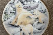 Decorative Polar Bear Plate by Harrogate Cruse