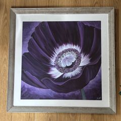 Large picture free