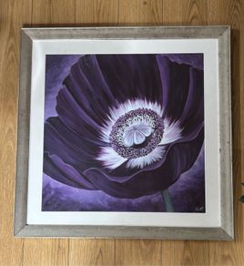 Large picture free