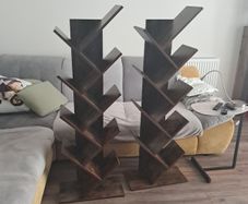 cabinet shelf book