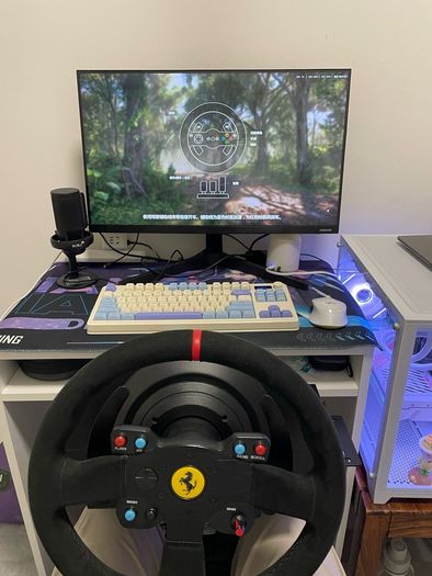 Thrustmaster T300+Pedals+Stand