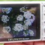RoyDac DFR-5MZO 5MP Digital Camera Image 4