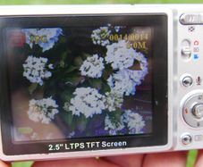RoyDac DFR-5MZO 5MP Digital Camera