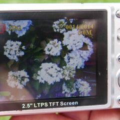 RoyDac DFR-5MZO 5MP Digital Camera