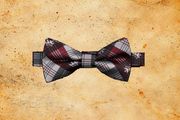 Red Tiger Clip Bowtie