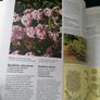 The Gardener's Guide by David Squire Image 3