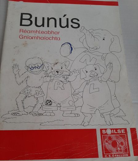 Gaeilge Fallons vintage school books