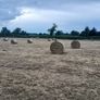 bales of hay Image 2