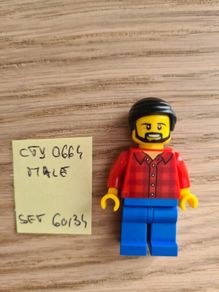 lego cty0664 male, set 60134