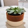 Self-Draining Plant Pot Image 5
