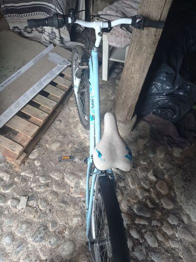 Raleigh Roma girls bike