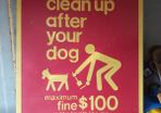 new york street sign clean up