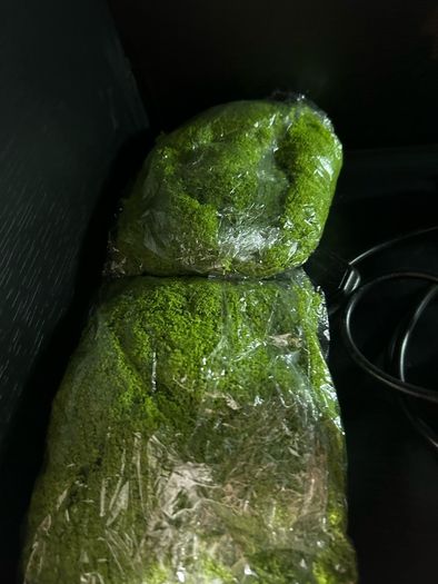 3 foot reptile tank black