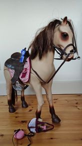 Our Generation Doll & Horse