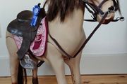 Our Generation Doll &amp; Horse