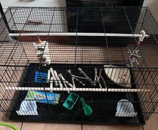 Large Bird Flight Cage