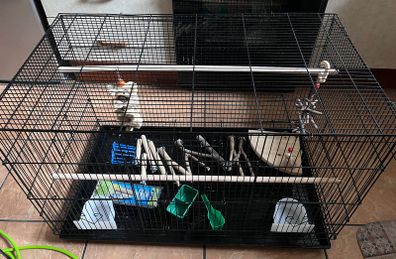 Large Bird Flight Cage