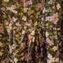 dress Image 3