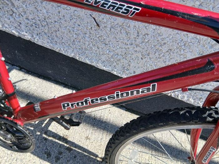 Adults Bike