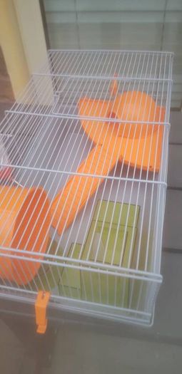 hamster cage
