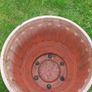 large plant pot Image 3