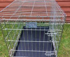 medium dog travel crate