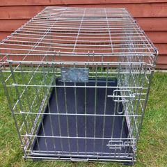 medium dog travel crate
