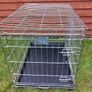 medium dog travel crate Image 7