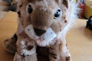 Wild cats / fox soft toy teddies
