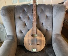 Irish Bouzuki