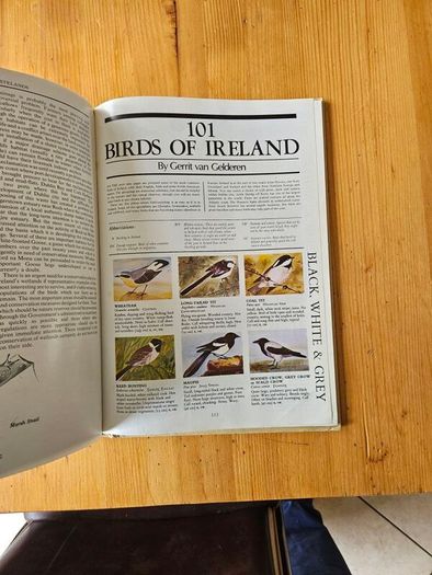 The Irish Wildlife Book. Edited By Fergus O'gorman. Illustrated By Gerrit Van Gelderen, Eamon De Buitlear And Richard Mills. First Edition Large Volume Hardback In Good Condition.
