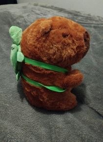 Cappebara with backpack