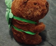 Cappebara with backpack
