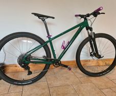 Specialized Rockhopper 29er