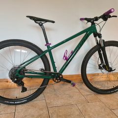 Specialized Rockhopper 29er