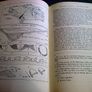 Geology and Ireland Image 7