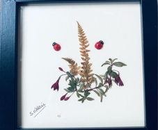 Dried flower picture