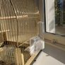 Antique vintage gold bird cage Image 7