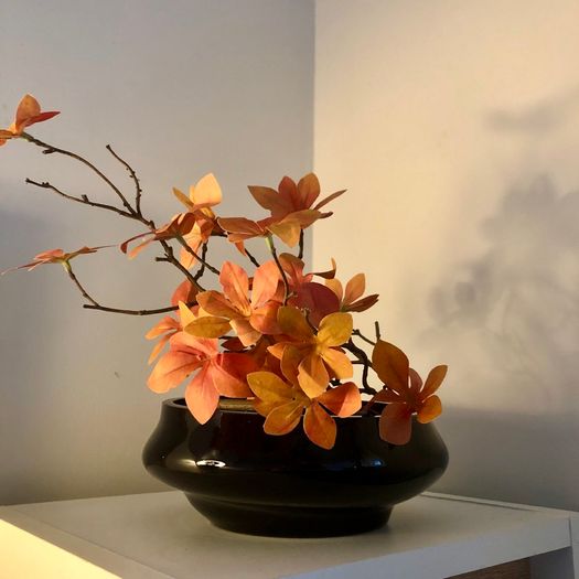 Gorgeous tinted glass asymmetrical decorative bowl