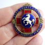 Vintage Pembury Hospital Enamel Badge White Horse of Kent Image 2