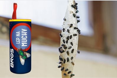 8 Pcs Proven Polish Flypaper