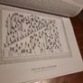 Anna Nielsen  Life Is Amazing: The Power of Images and Words Image 6
