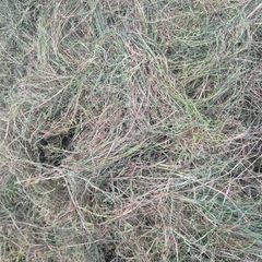 Silage Bales